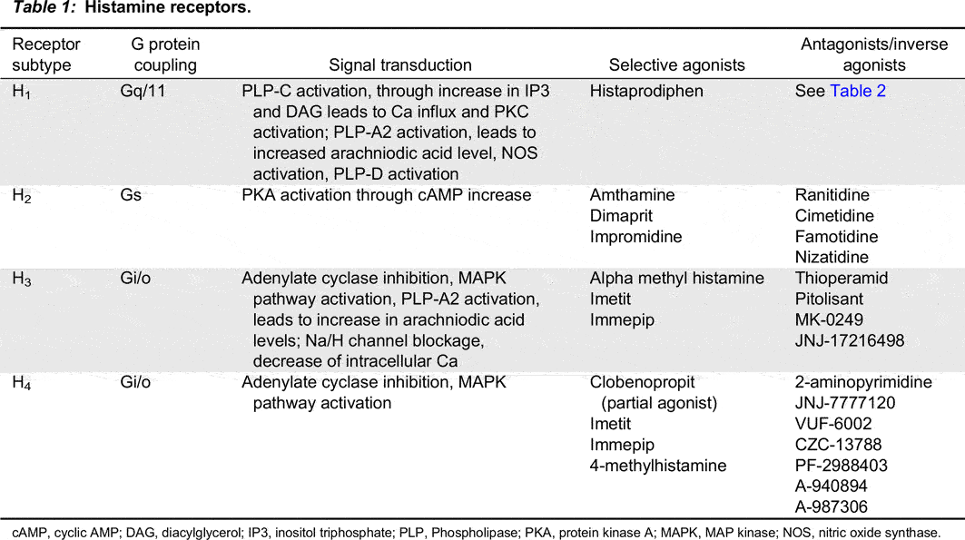 histamine receptors, and anti-histamines in context of allergic responses